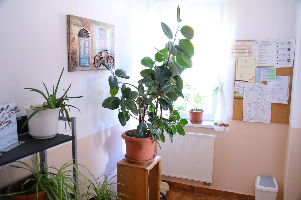 Appartement Barki Apartman à Bük Extérieur photo